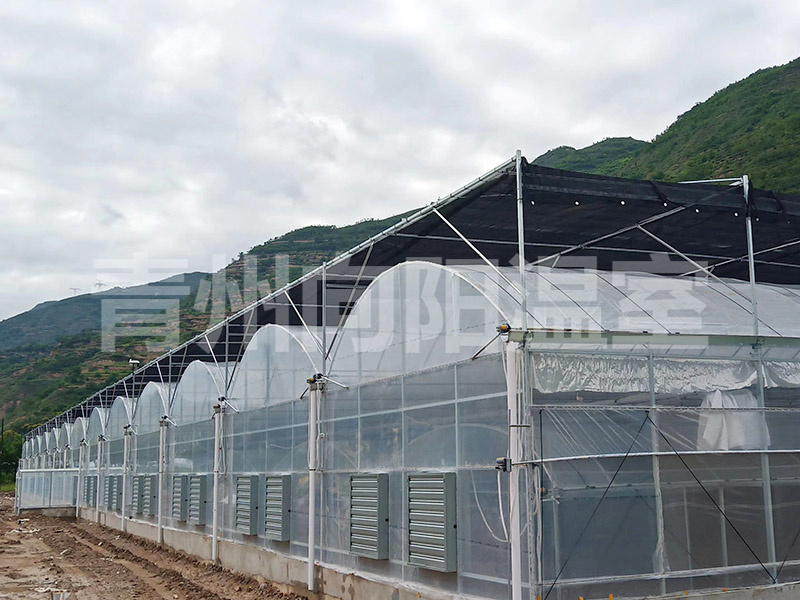 連棟溫室通風(fēng)系統的設計參考因素