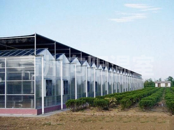 陽光板溫室