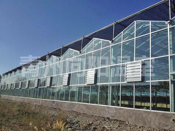 陽光板溫室