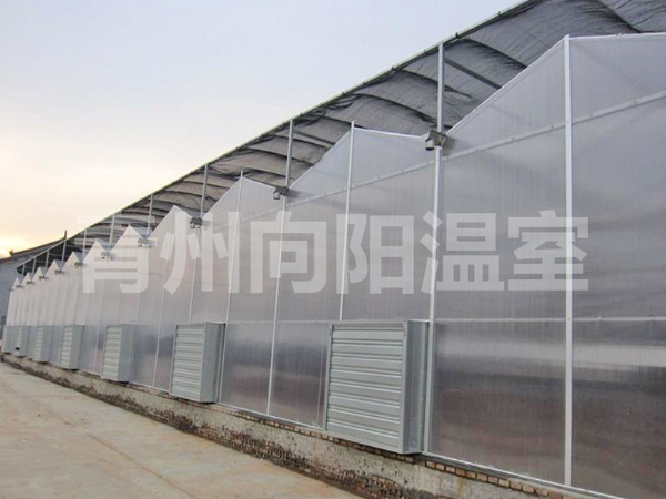 陽光板溫室