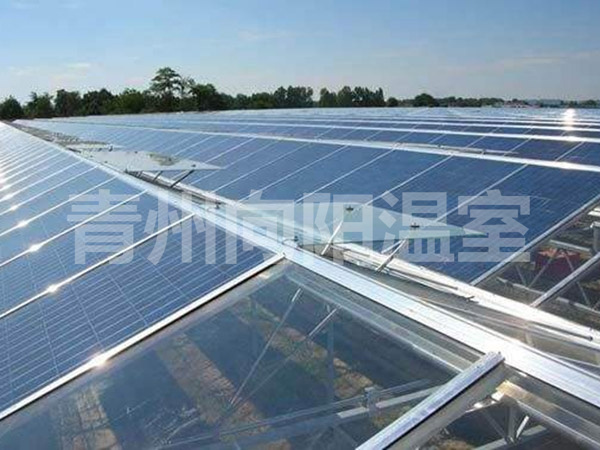 陽光板溫室