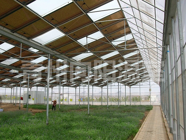 陽光板溫室