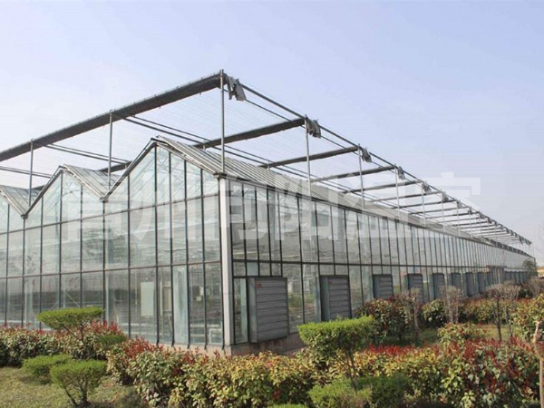 陽光板溫室