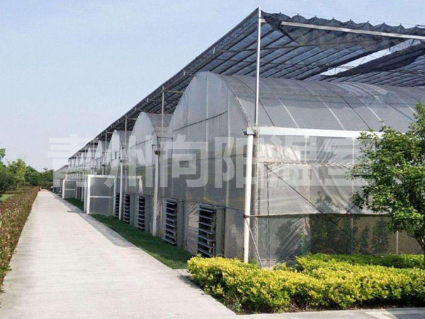 薄膜連棟溫室