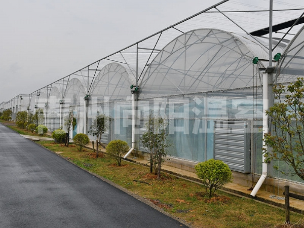 薄膜連棟溫室