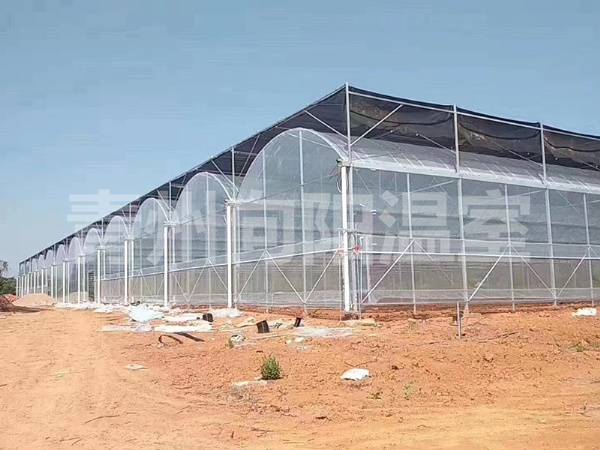 薄膜連棟溫室