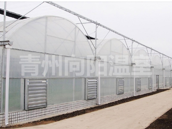薄膜連棟溫室