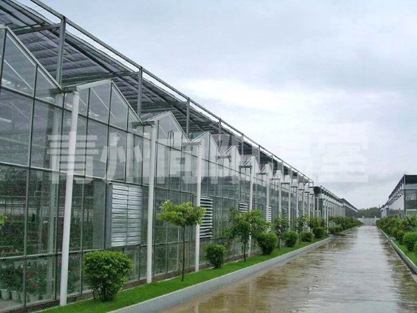 玻璃溫室 (1)