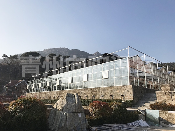 江蘇泰州玻璃溫室