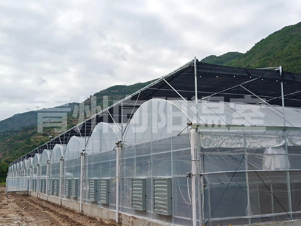 薄膜連棟溫室 (13)