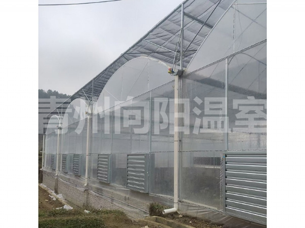 薄膜連棟溫室
