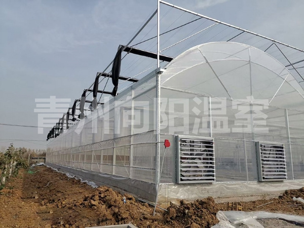 薄膜連棟溫室